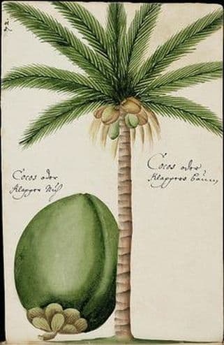 Illustration accompanying the story.