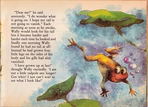 A page from Wally Grows Up (Children’s Book Trust, 1994), illustrated by Chaitali Chatterjee.