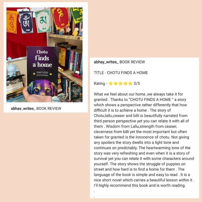 Chapter books review and feature image