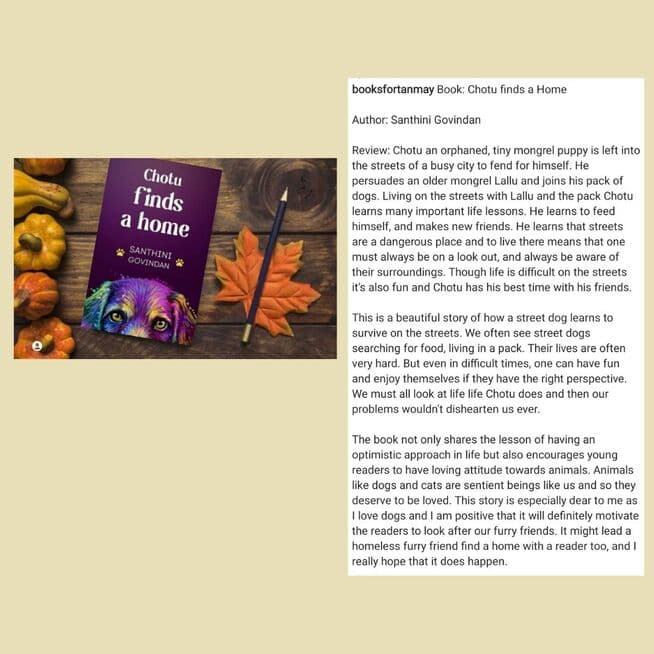 Chapter books review and feature image