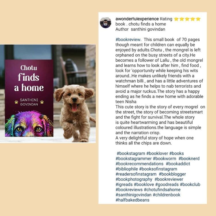 Chapter books review and feature image