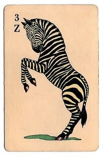 FOXED BY THOSE STRIPES