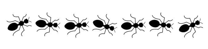 ANTS