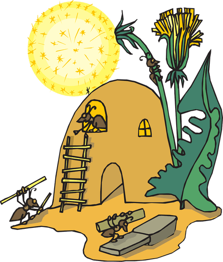 ANTS BUILD A HOME
