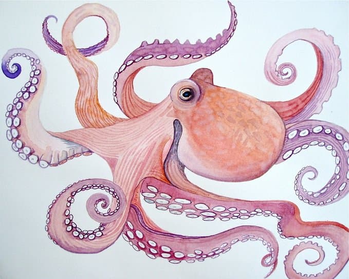 THE OCTOPOET