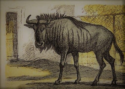 THE GNU