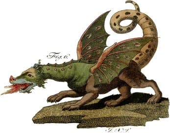 THE DRAGON'S RAGE