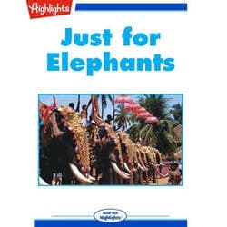 Just For Elephants